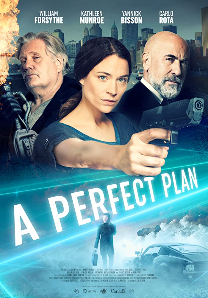 DOWNLOAD MOVIE: a perfect plan