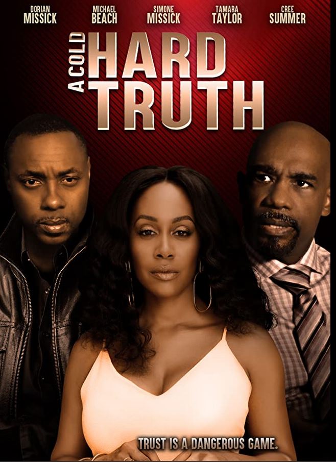 DOWNLOAD MOVIE: A Cold Hard Truth (2020)
