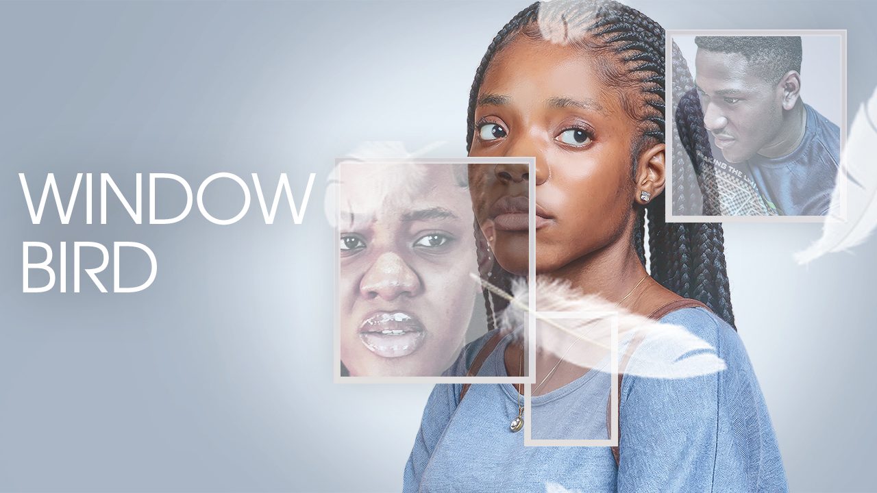 DOWNLOAD Window Bird MOVIE - iNatureHub