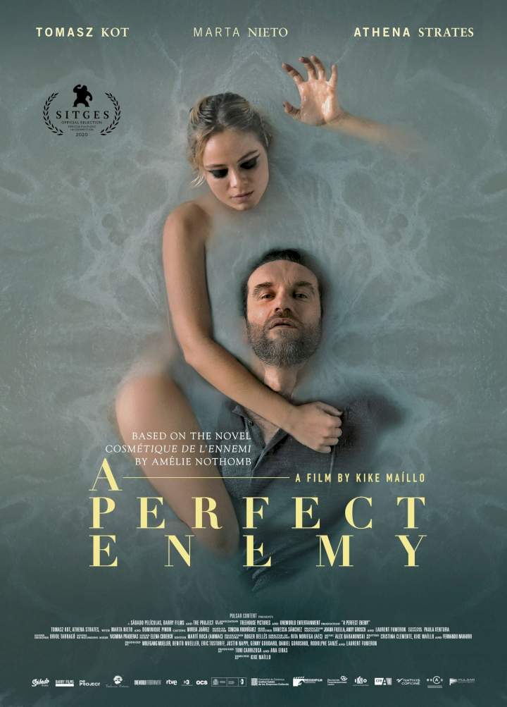 DOWNLOAD MOVIE: A Perfect Enemy (2020)