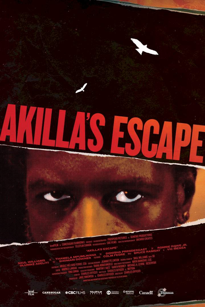 DOWNLOAD MOVIE: Akilla's Escape (2020)