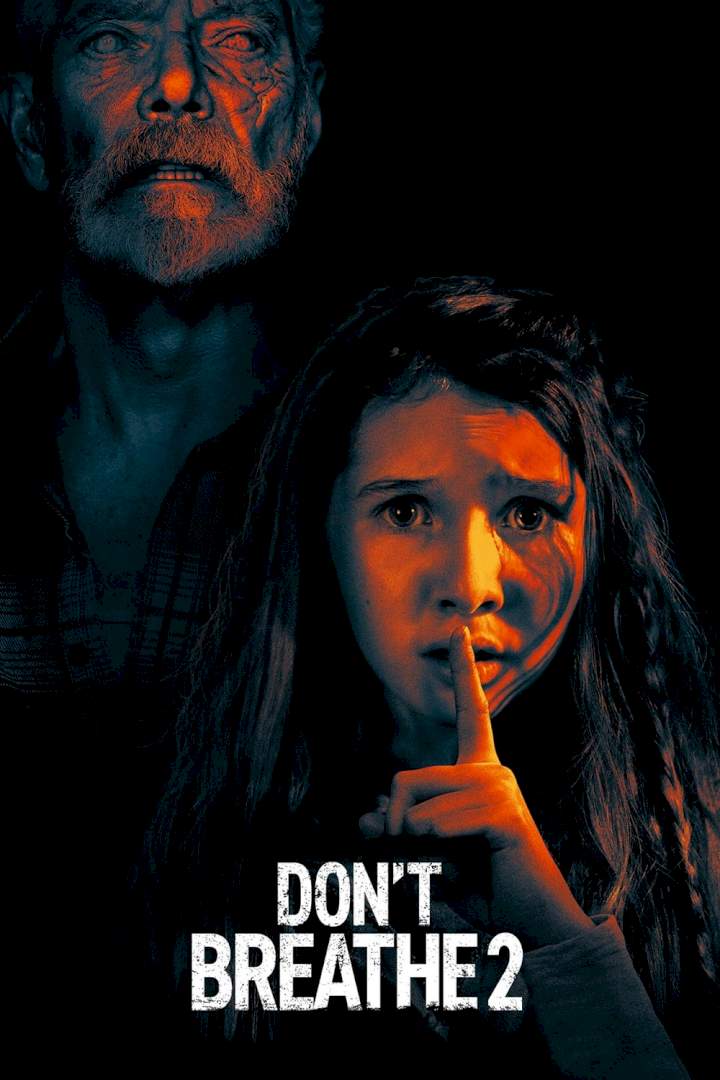 DOWNLOAD MOVIE: Don't Breathe 2