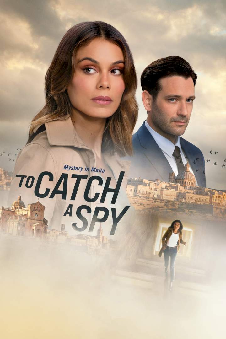 DOWNLOAD MOVIE: To Catch a Spy