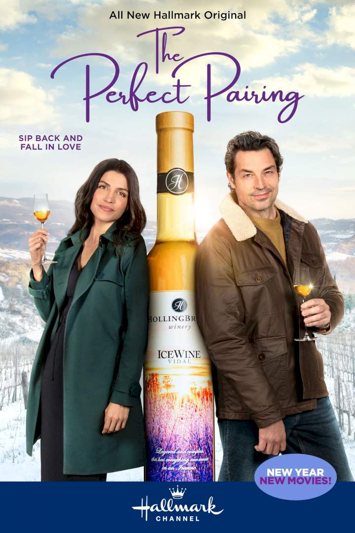 DOWNLOAD MOVIE: The Perfect Pairing