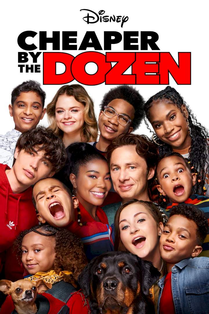 DOWNLOAD MOVIE: Cheaper by the Dozen