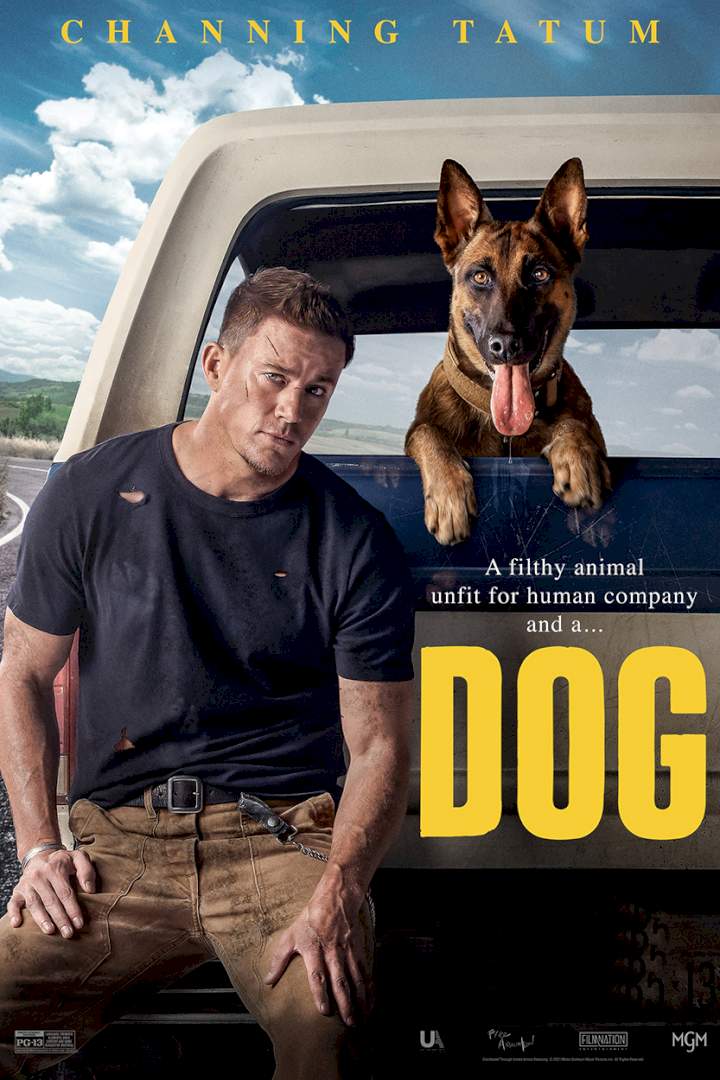 DOWNLOAD MOVIE: Dog