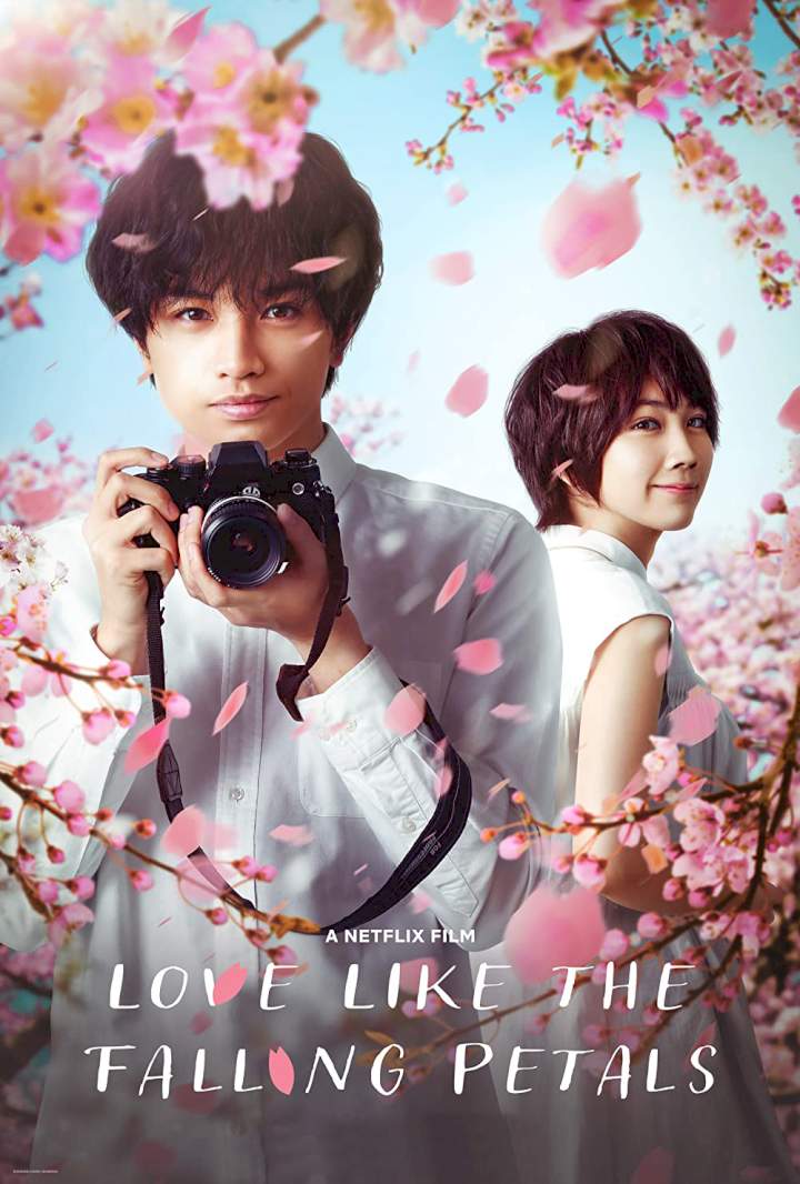DOWNLOAD MOVIE: Love Like the Falling Petals