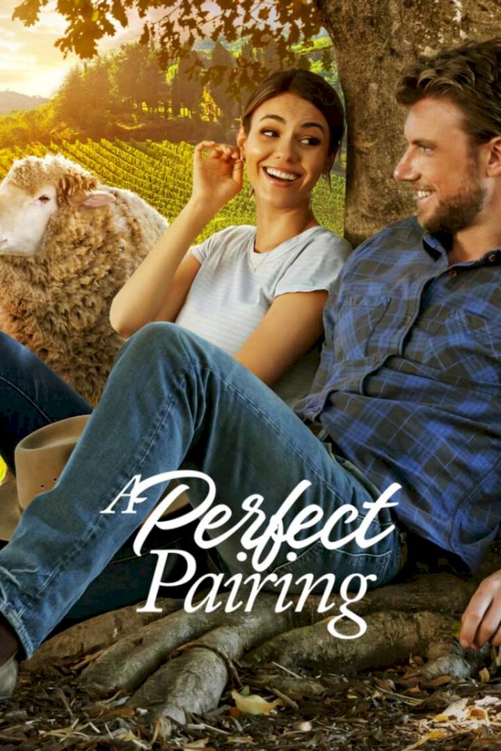 DOWNLOAD MOVIE: A Perfect Pairing