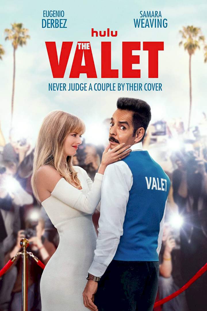 DOWNLOAD MOVIE: The Valet