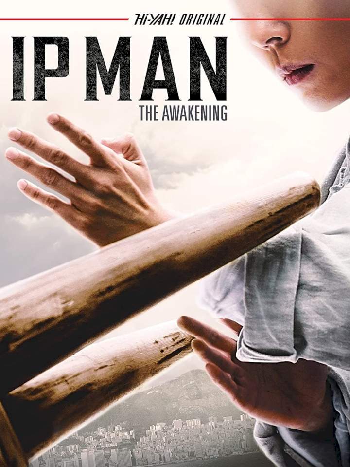DOWNLOAD MOVIE: Ip Man - The Awakening