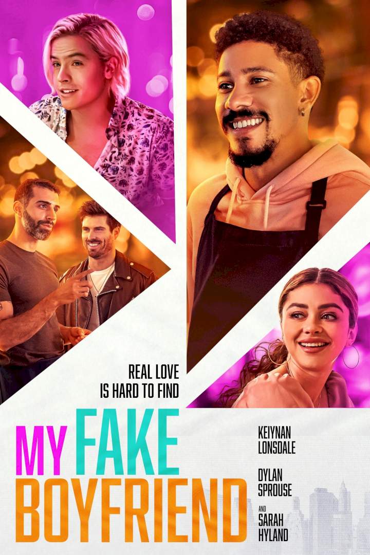 DOWNLOAD MOVIE: My Fake Boyfriend