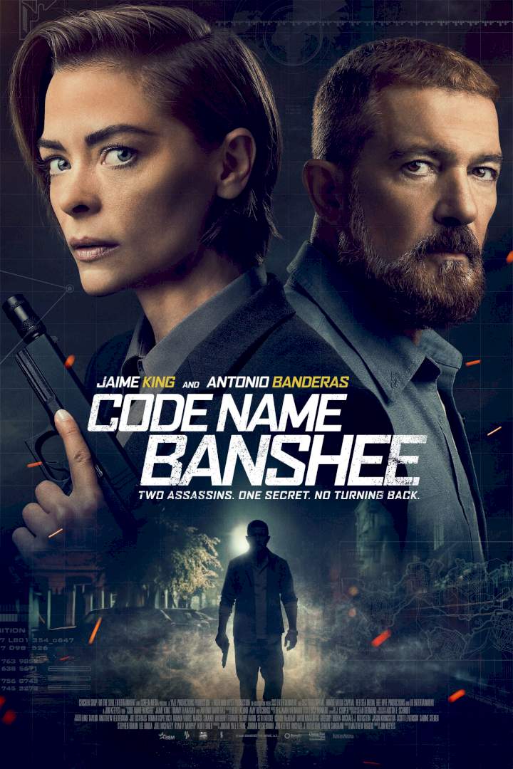 DOWNLOAD MOVIE: Code Name Banshee