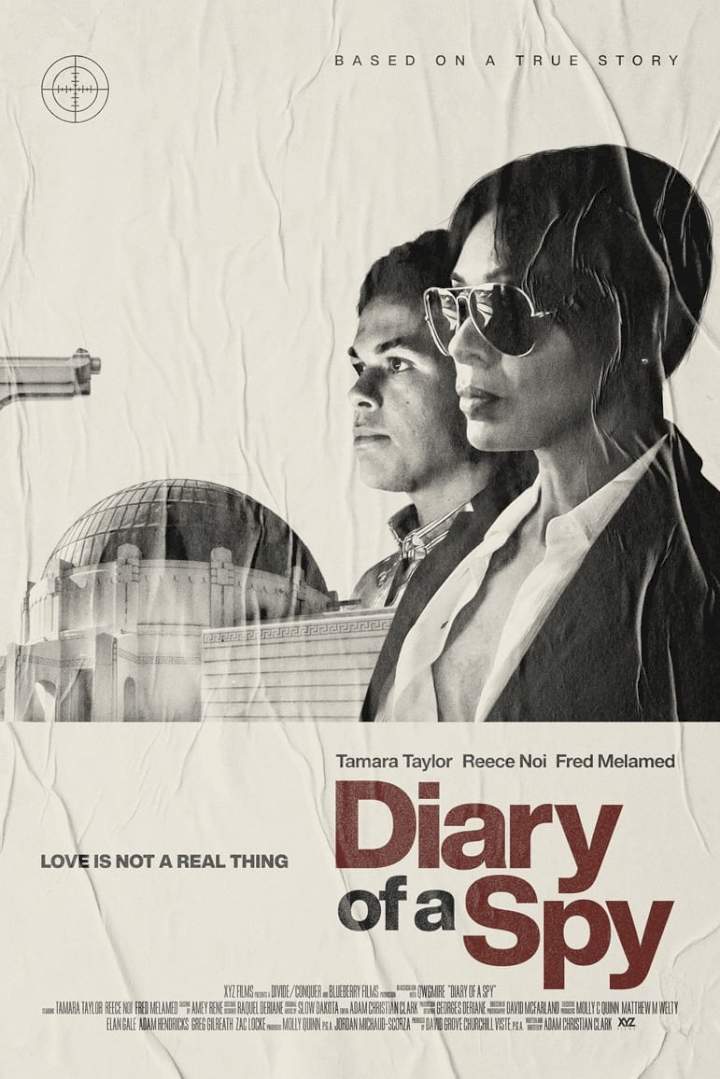 DOWNLOAD MOVIE: Diary of a Spy
