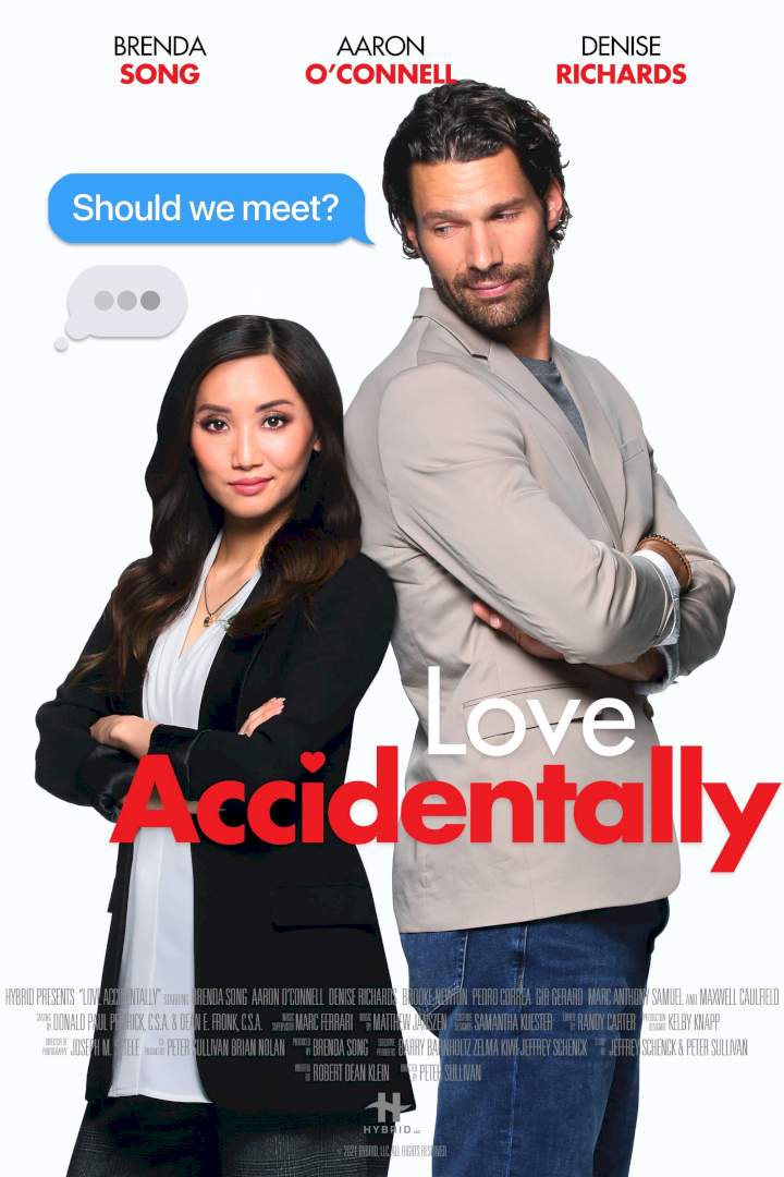 DOWNLOAD MOVIE: Love Accidentally