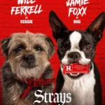 Strays