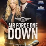 Air Force One Down