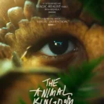 The Animal Kingdom