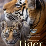 Tiger (2024)