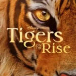 Tigers on the Rise (2024)
