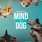 Inside the Mind of a Dog