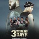 3 Working Days
