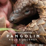 Pangolin Kulus Journey