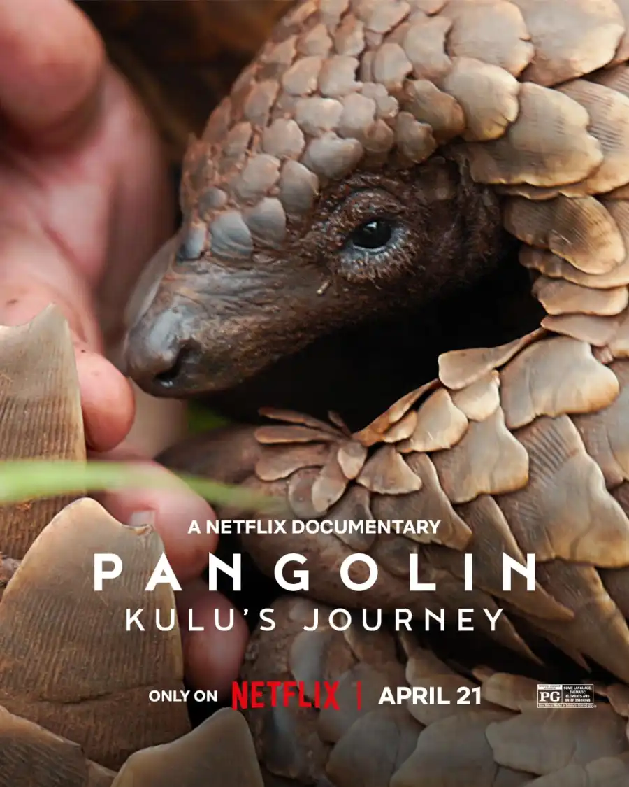 Pangolin Kulus Journey