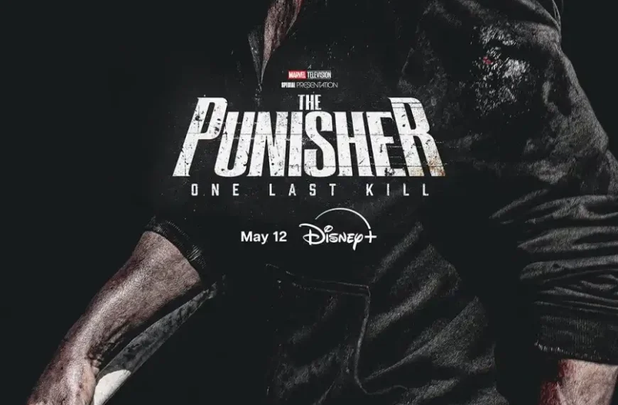 The Punisher: One Last Kill