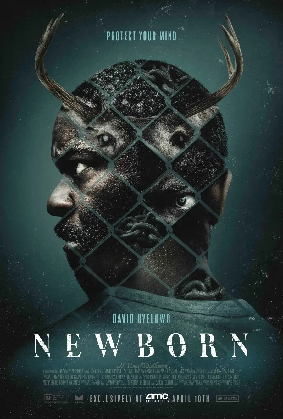 Newborn