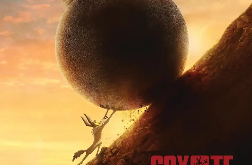 Coyote vs. Acme
