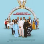 Why Did I Get Married Again?